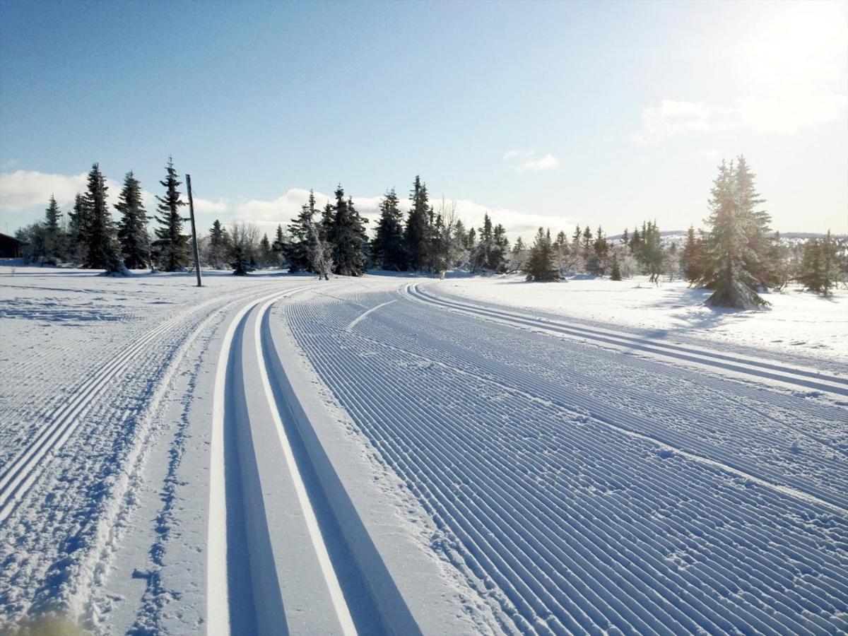 Ski And Bike-In And Out Hafjell Kültér fotó